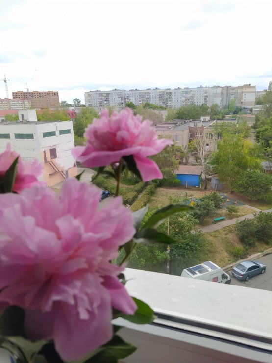 Квартира, доповнююче фото, 3890