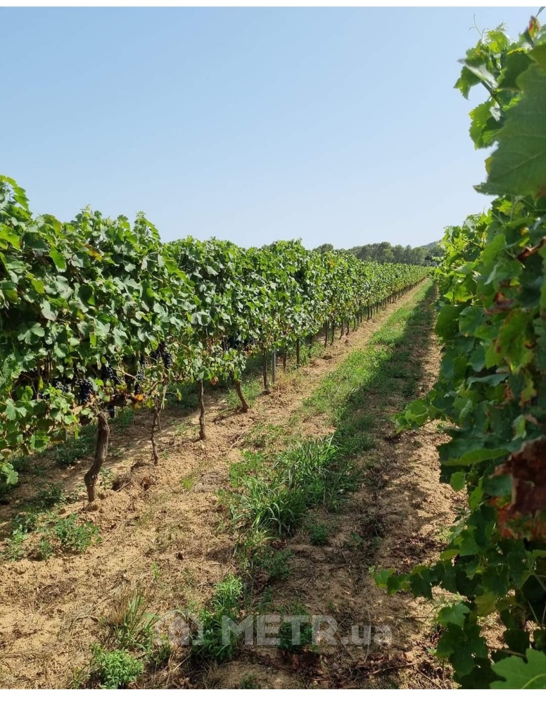 Фото будинку, смт Затока, вул. Морська 21 (13076-4)