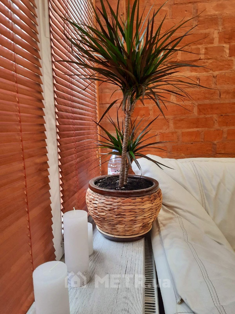 Фото дома, г. Одесса, пер. Спартаковский (14125-3)