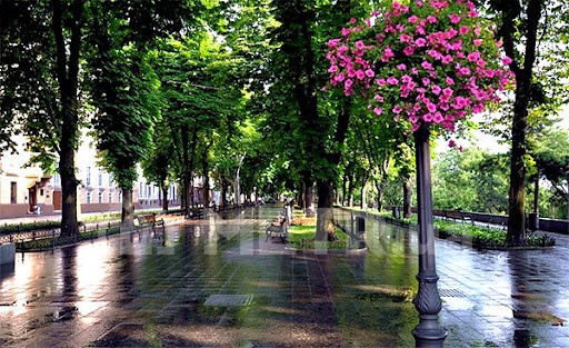 Фото квартиры, г. Одесса, пер. Театральный 12 (15029-12)