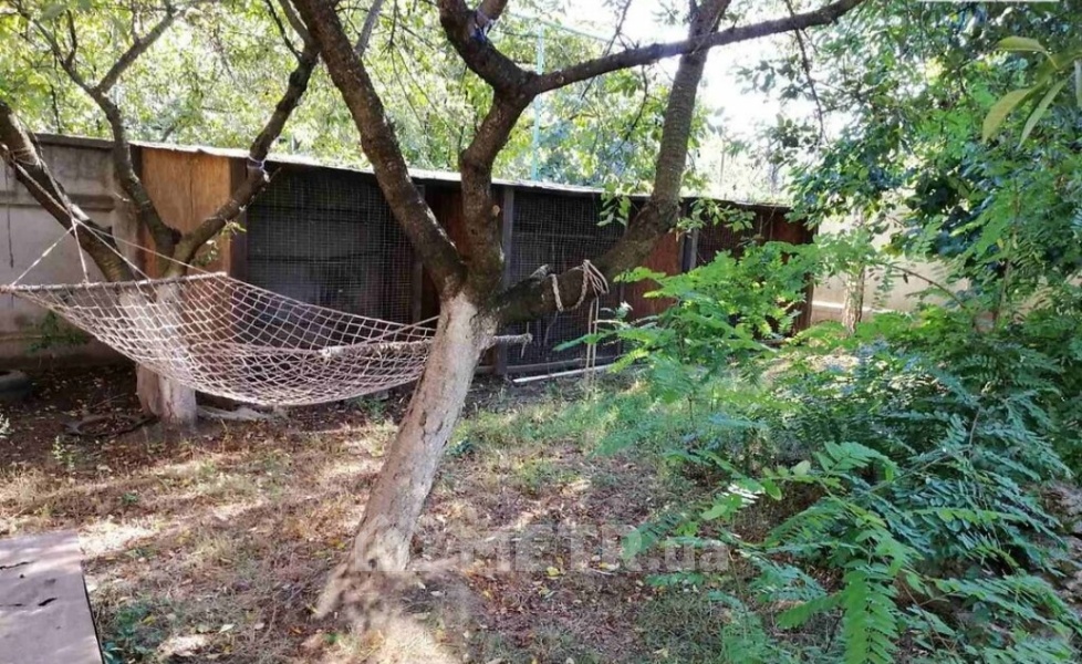 Фото будинку, с. Санжійка, Леонідово, ул. Хуторна 24 (15743-26)