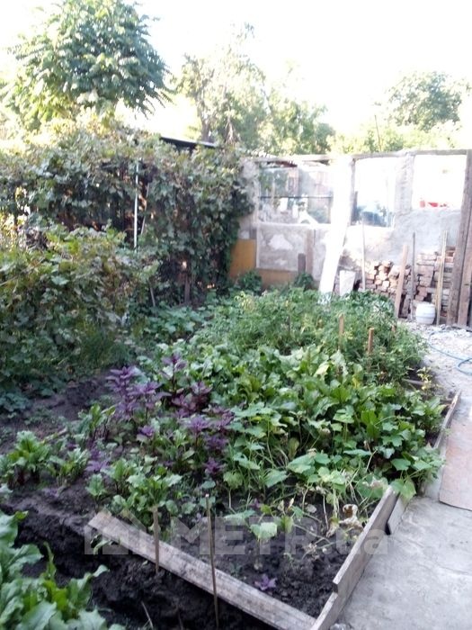 Фото квартиры, г. Одесса, ул. Генерала Швыгина 20 (17171-7)