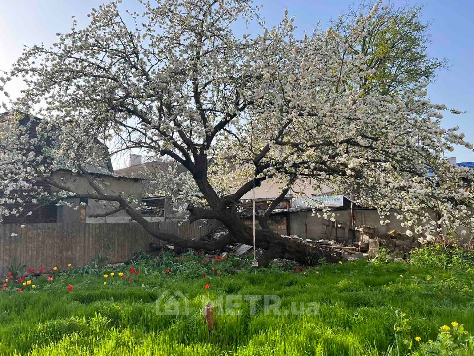 Фото части дома, г. Одесса, ул. Костанди 38 (19016-46)