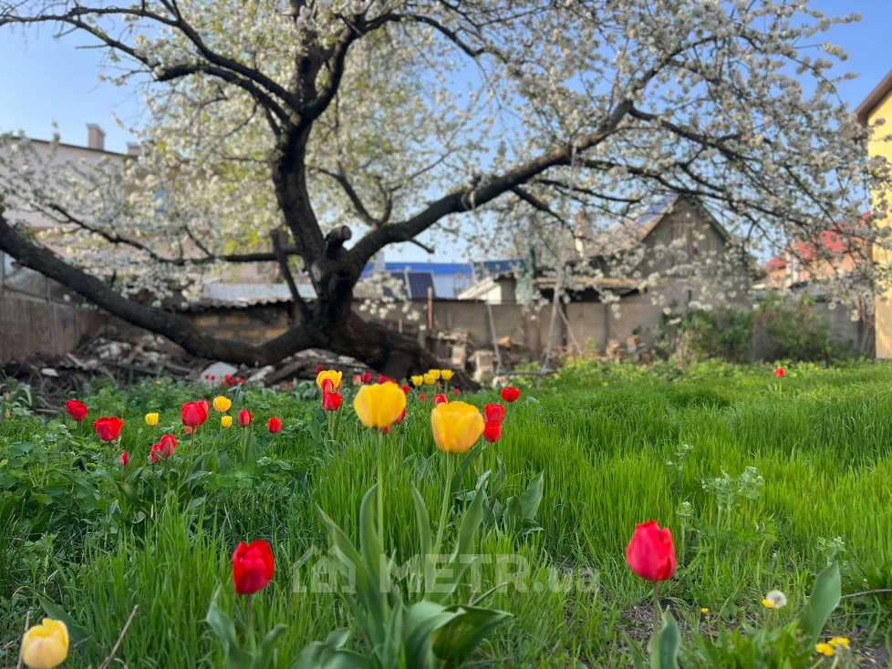 Фото части дома, г. Одесса, ул. Костанди 38 (19016-47)