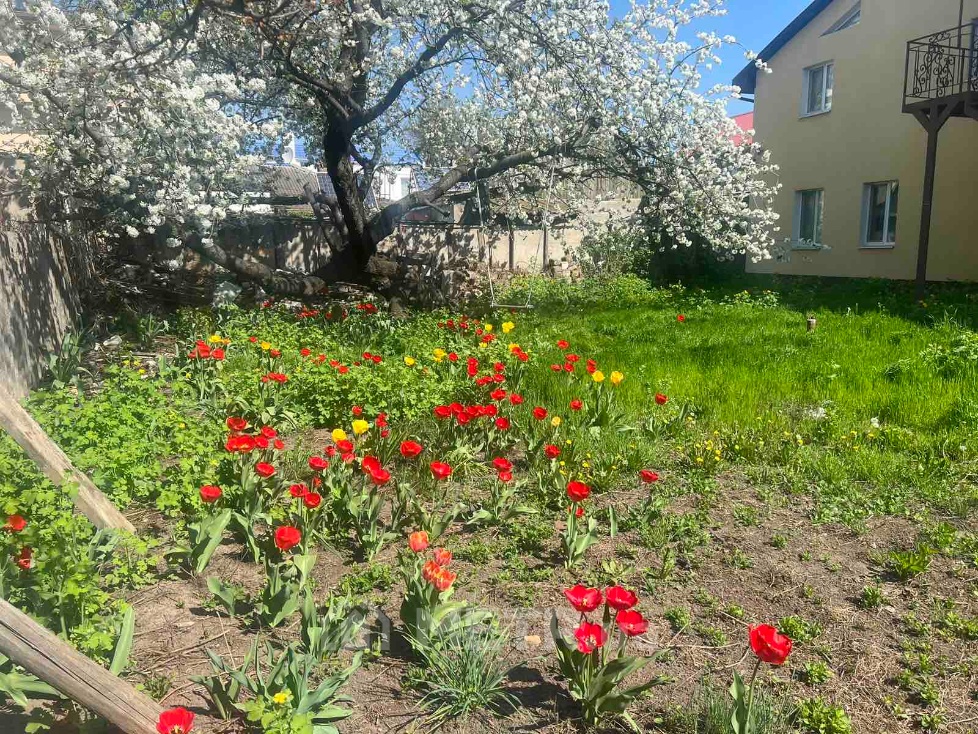 Фото части дома, г. Одесса, ул. Костанди 38 (19016-48)