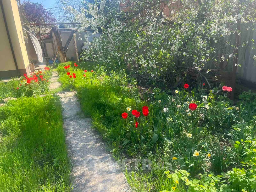 Фото части дома, г. Одесса, ул. Костанди 38 (19016-49)