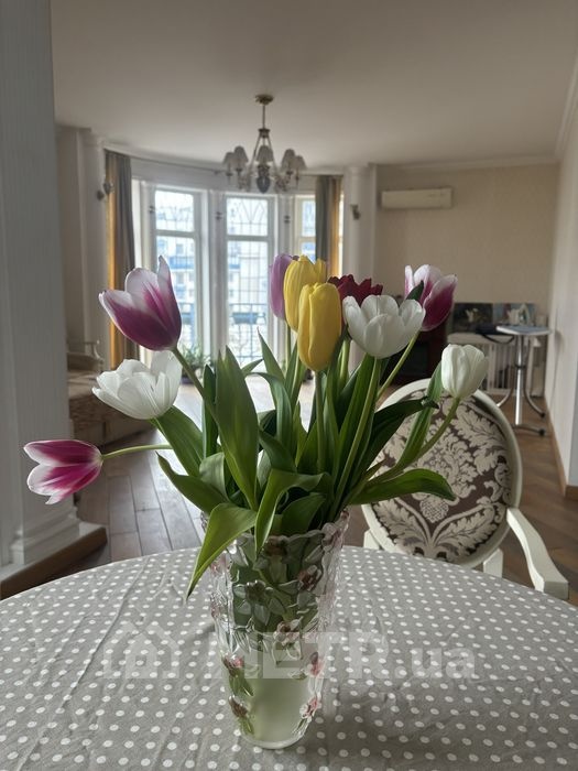 Фото квартиры, г. Одесса, пер. Мукачевский 6/3 (19678-3)