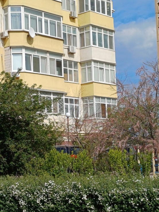 Квартира, доповнююче фото, 20584