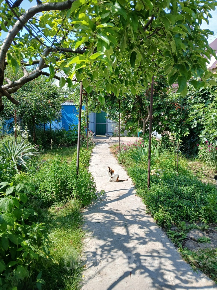 Фото комнаты, г. Одесса, ул. Дача Ковалевского 55 (20719-1)