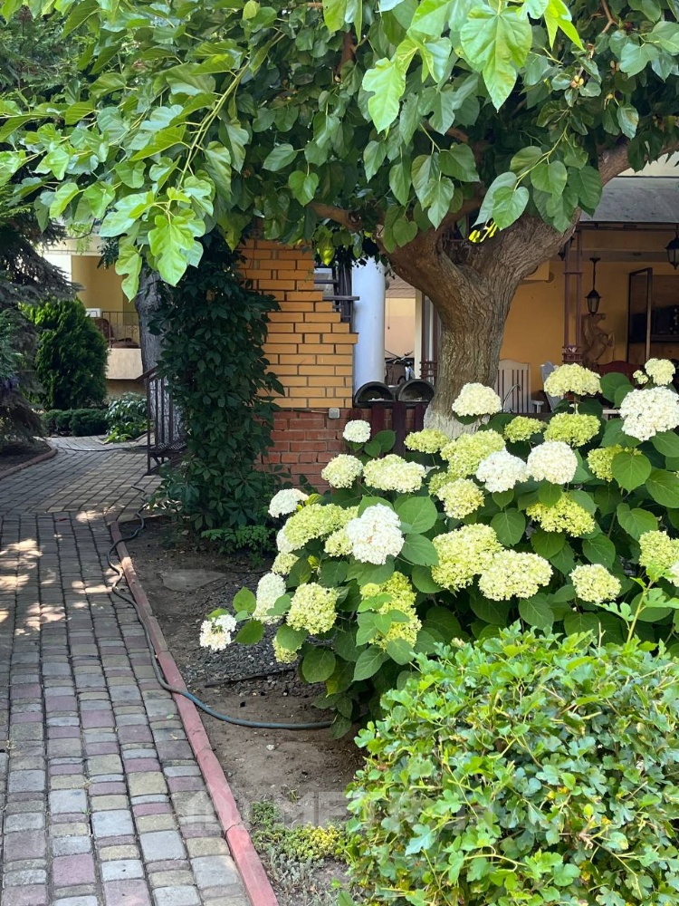 Фото мини-отеля&nbsp;Гостьовий будинок L hotel, г. Черноморск, ул. Александрийская 89 (20894-11)
