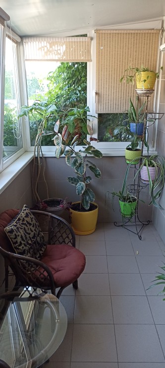 Квартира, дополняющее фото, 21236