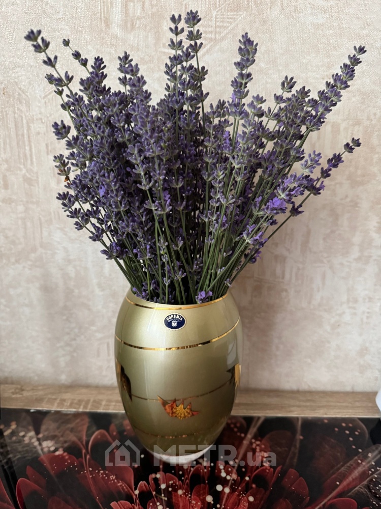 Фото квартиры, г. Черноморск, проспект Мира 23 (560-6)