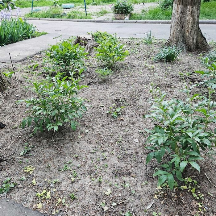 Фото квартиры, г. Одесса, проспект Небесной Сотни 43 (21291-22)