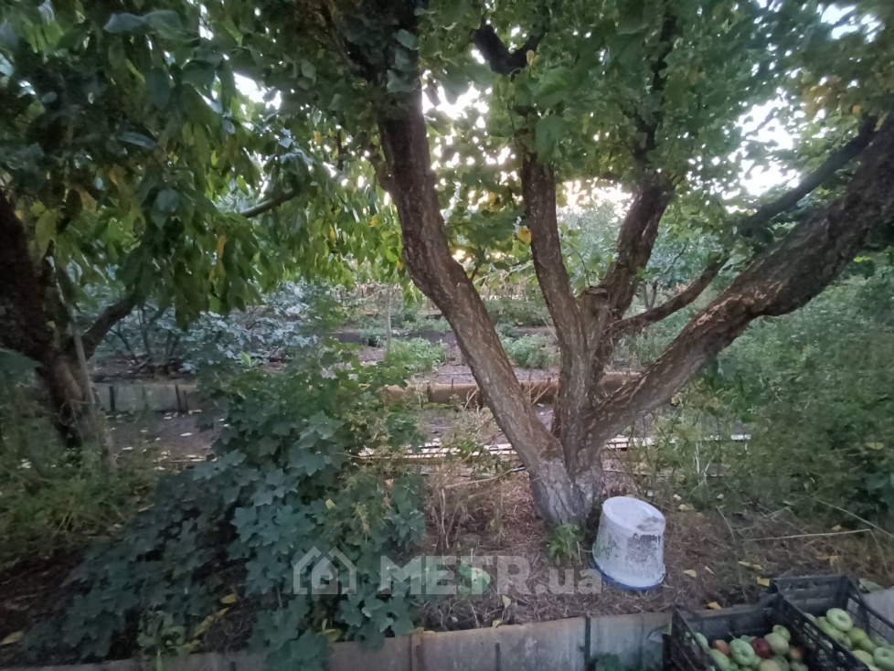 Фото дома, с. Фонтанка, Светлое, ул. Комунальна 1 (21443-8)