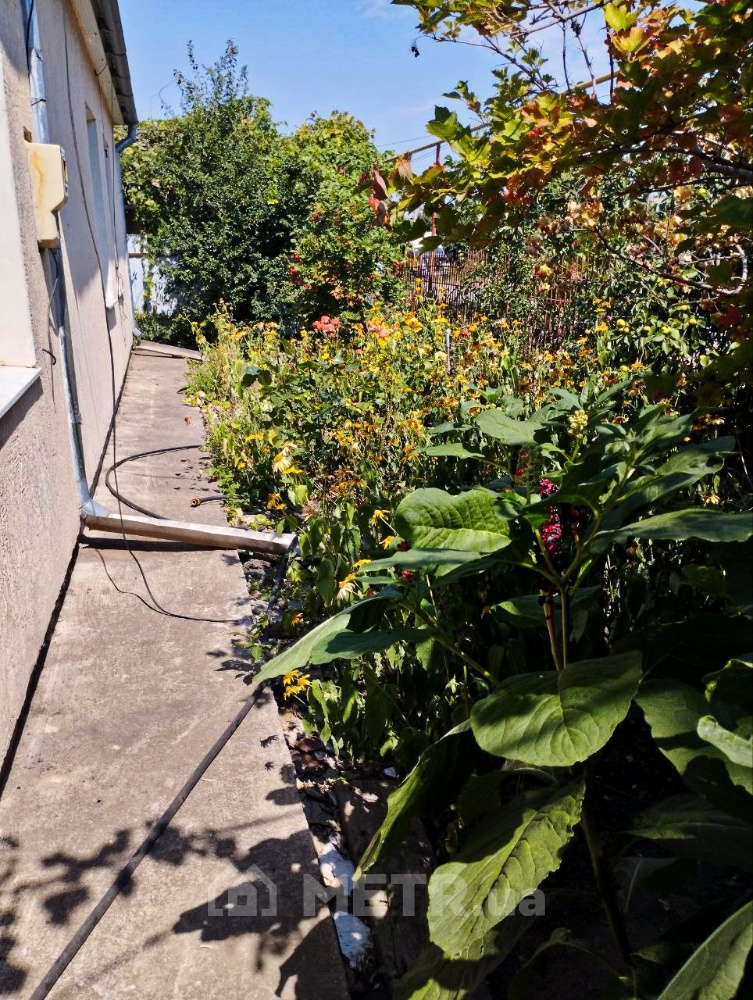 Фото дома, с. Фонтанка, ул. Молодежная 1 (21562-5)