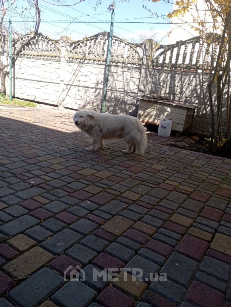 Фото дома, с. Фонтанка, ул. Одесская 30 (21566-7)