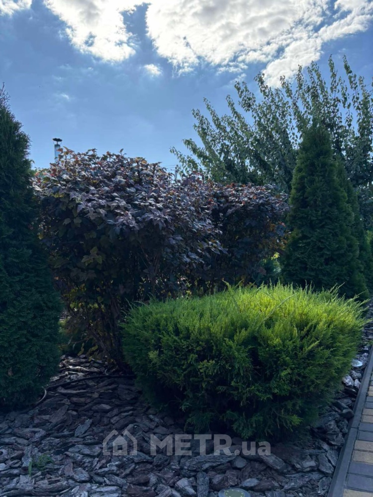 Фото дома, г. Одесса, ул. Соляная (21597-4)