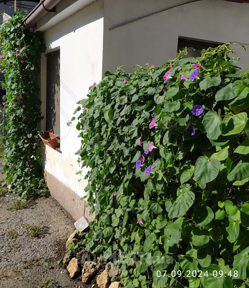 Фото квартиры, г. Одесса, ул. Малая Арнаутская 72 (21662-2)