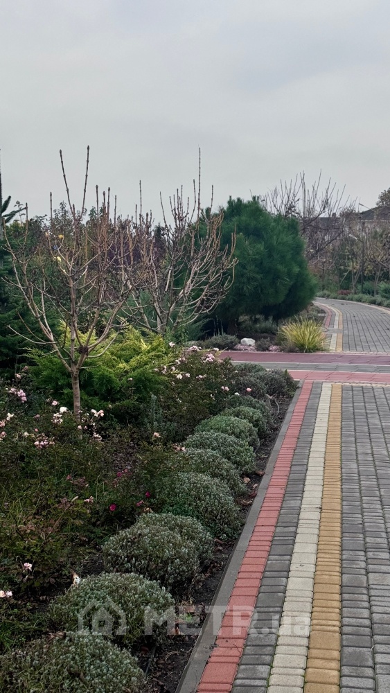 Фото дома, с. Лиманка, 1 Линия (16602-15)