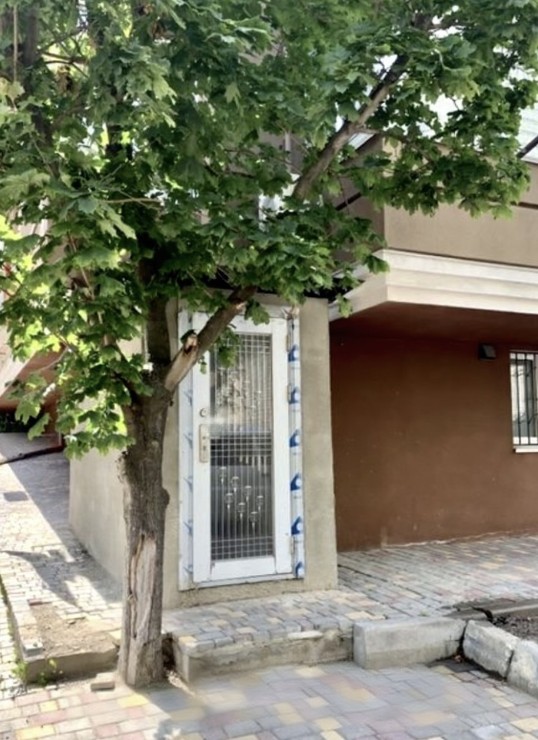 Коммерческая недвижимость, доповнююче фото, 21729