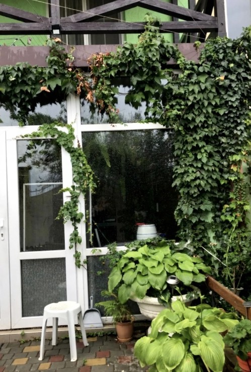 Дом, доповнююче фото, 21734