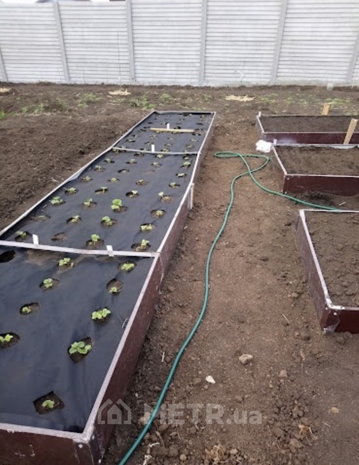 Фото дома, с. Новая Долина, ул. Центральная 12 (21735-7)