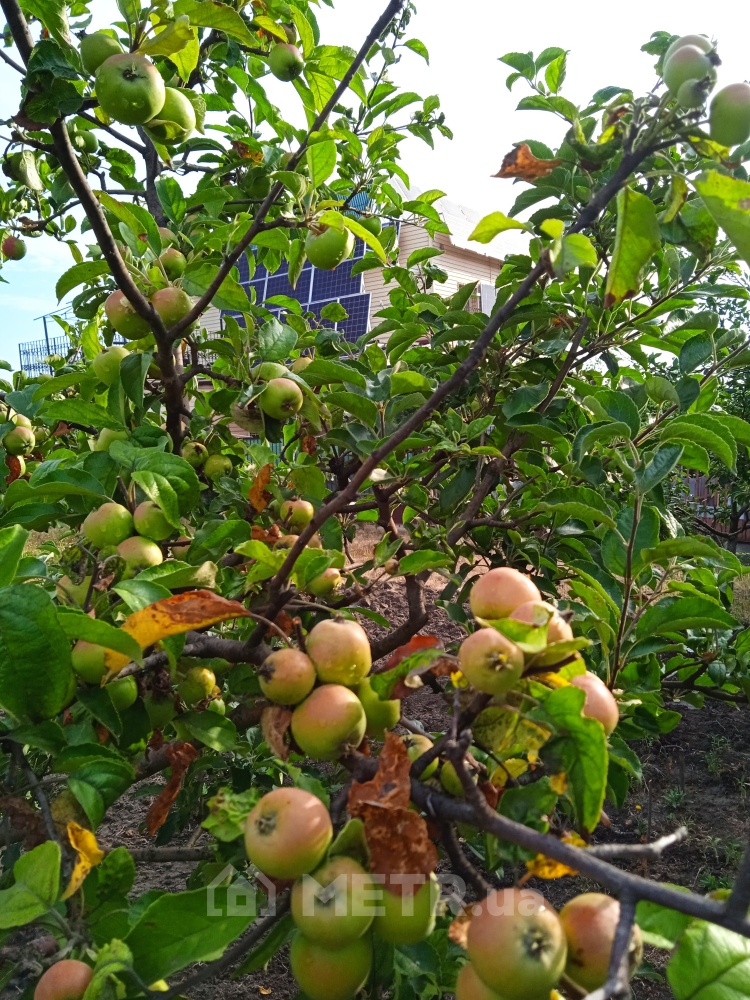 Фото дачи, пгт Великодолинское, СК Солнечный, ул. Солнечная 18 (21744-5)