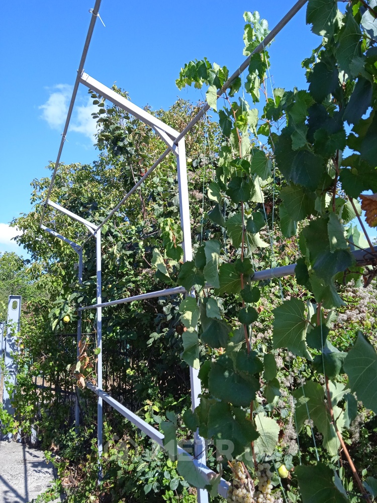 Фото дачи, пгт Великодолинское, СК Солнечный, ул. Солнечная 18 (21744-8)