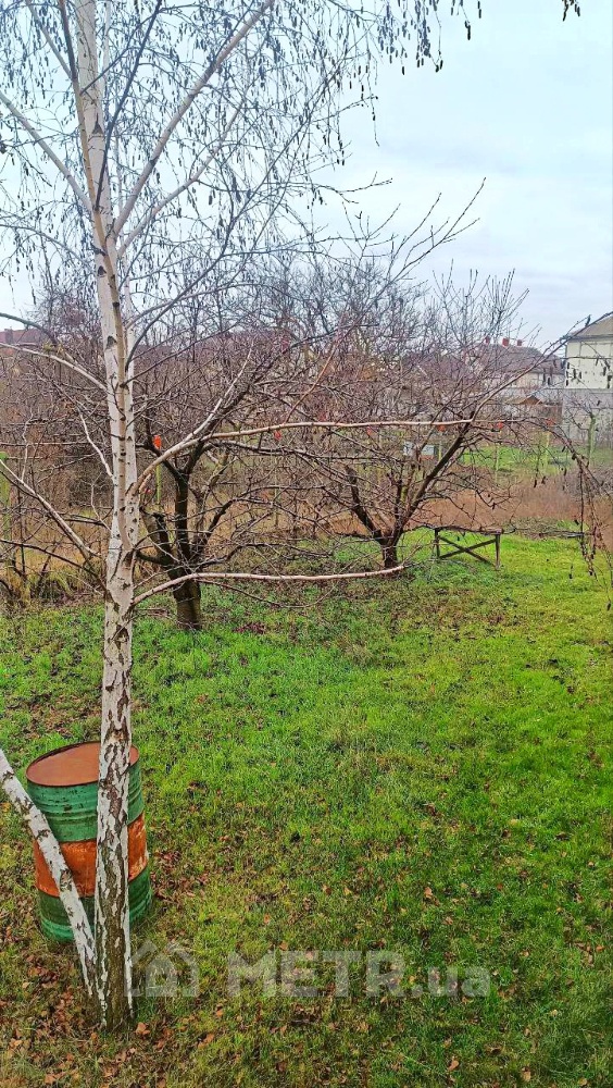 Фото дома, с. Фонтанка, пров. Потёмкина 3 (21824-9)