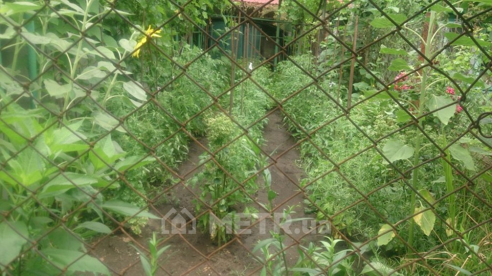 Фото части дома, г. Одесса, ул. Ф. Пишенина 50 (21833-5)