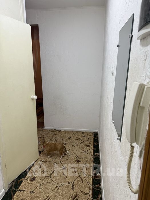 Фото квартиры, г. Одесса, ул. Генерала Петрова 27 (21856-17)