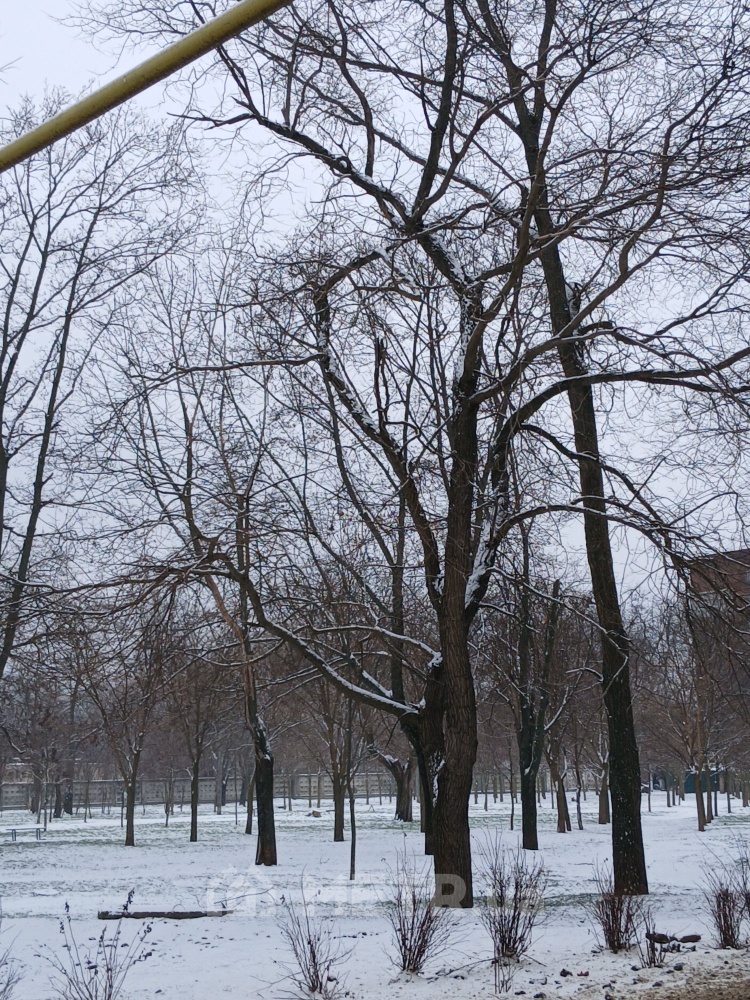 Фото квартиры, г. Одесса, ул. Полтавская 10 (21941-11)