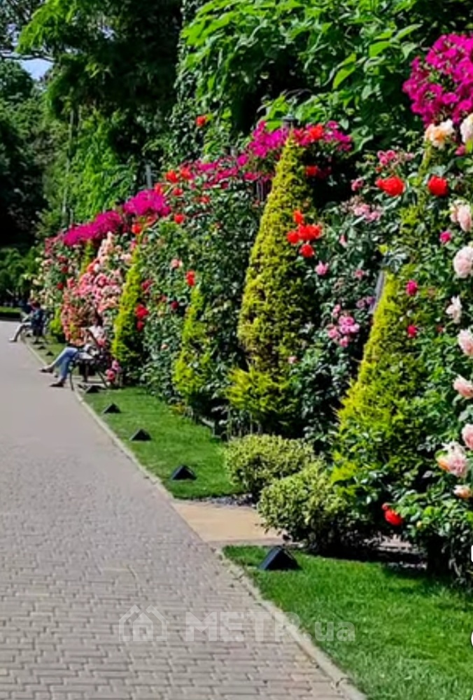 Фото кімнати, м. Одеса, вул. Героїв Крут 28 (22002-7)