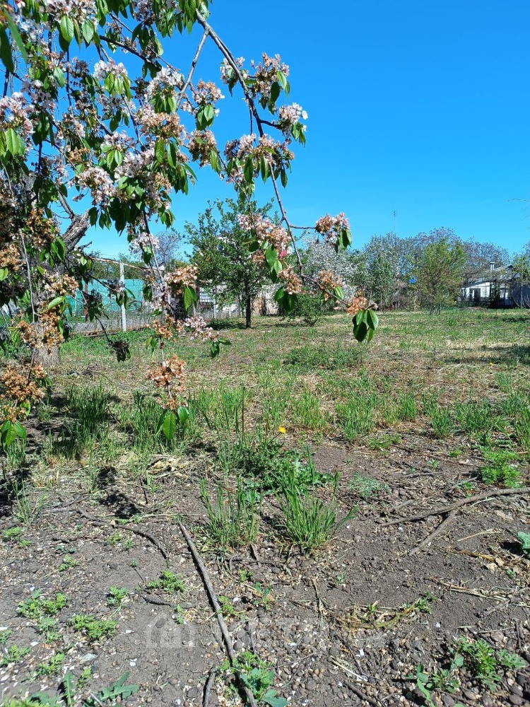 Фото дома, с. Фонтанка, ул. Патриотическая 36 (22316-8)