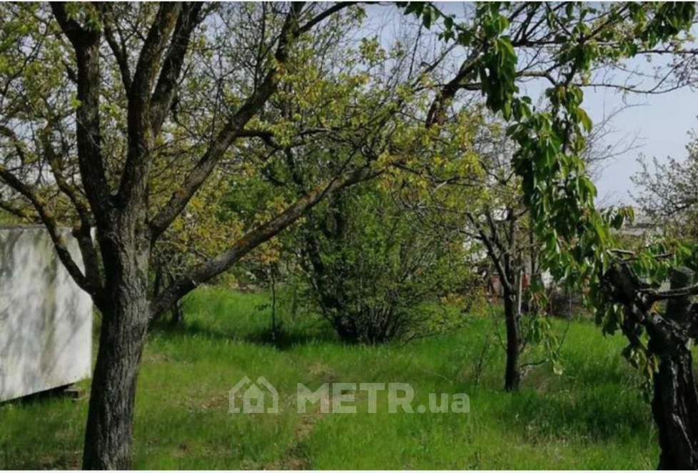 Фото дома, с. Фонтанка, ул. Вишневая 8 (22378-4)