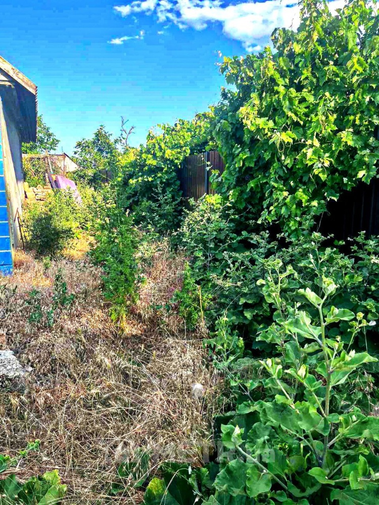 Фото дома, с. Красноселка, ул. Садовая 31 (22404-2)