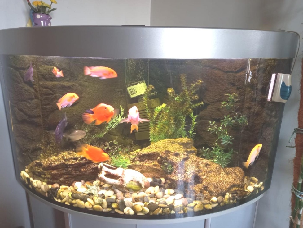 Фото квартиры, г. Одесса, проспект Академика Глушко 11/3 (22445-4)