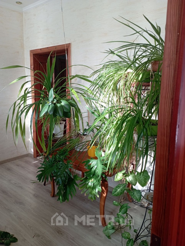 Фото дома, с. Фонтанка, ул. Пионерская 2 (22515-16)