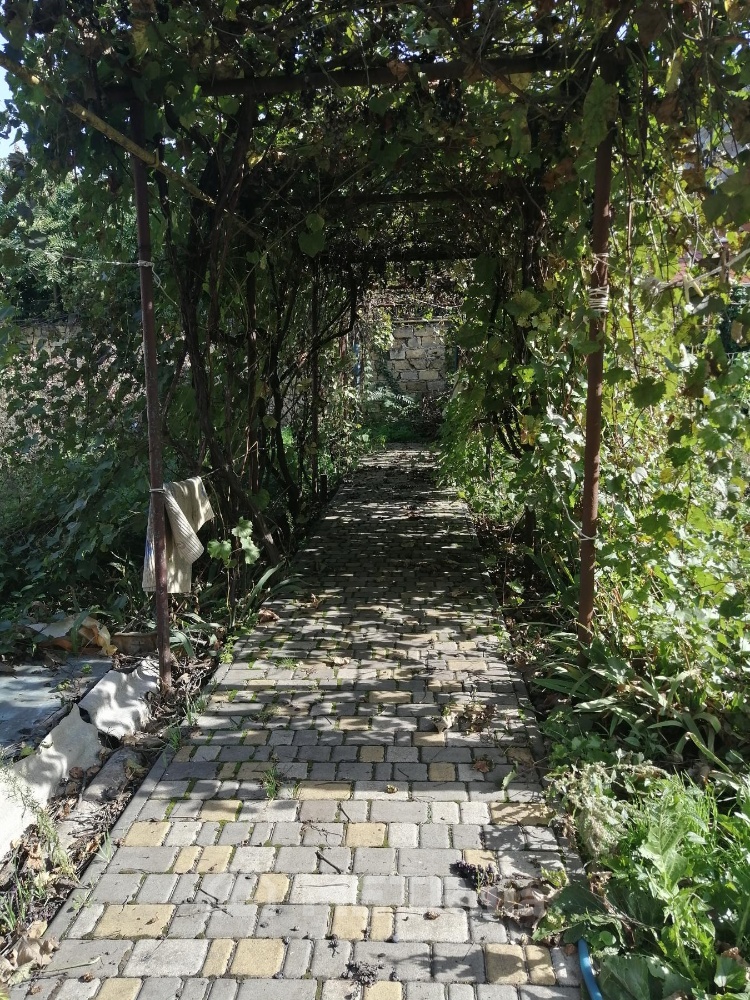 Фото дома, г. Одесса, ул. Левитана (22519-4)