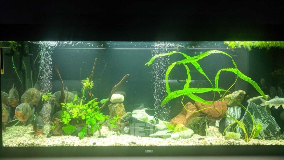 Фото квартиры, г. Одесса, ул. Армейская 8Г (22586-9)