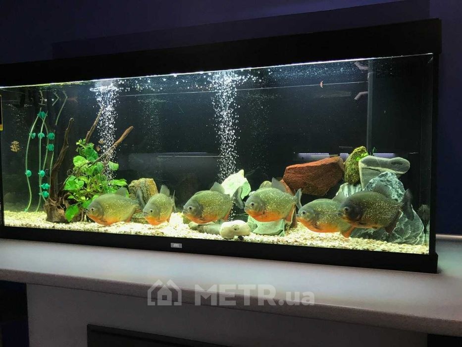 Фото квартиры, г. Одесса, ул. Армейская 8Г (22586-8)