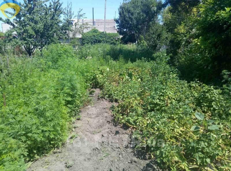 Фото дома, с. Фонтанка, ул. Центральная 30 (22675-3)