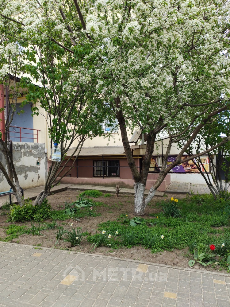 Фото коммерческой недвижимости, с. Крыжановка, ул. Генерала Бочарова 54Д (22699-1)