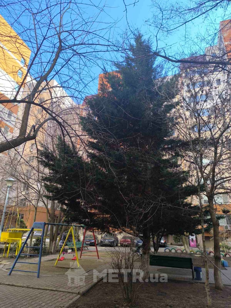 Фото квартиры, г. Одесса, ул. Старицкого 20 (22976-8)