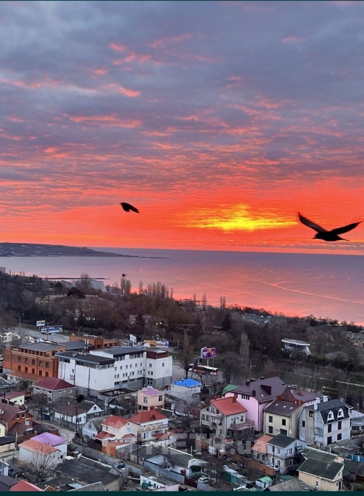 Фото квартиры, г. Одесса, ул. Штилевая 1 (22988-10)