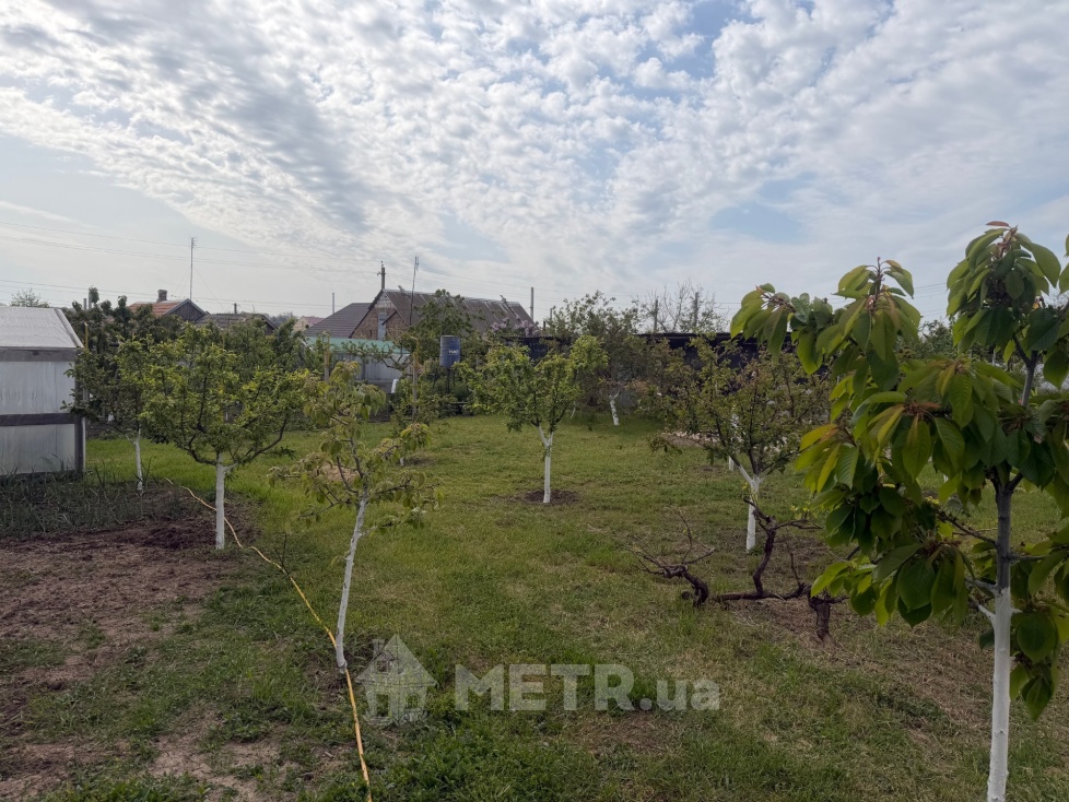 Фото дома, с. Малодолинское, ул. Куротная 53 (23064-29)