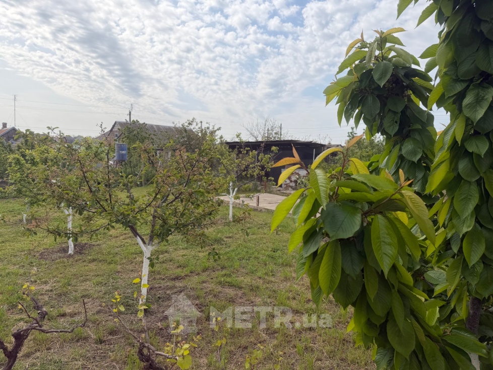 Фото дома, с. Малодолинское, ул. Куротная 53 (23064-31)