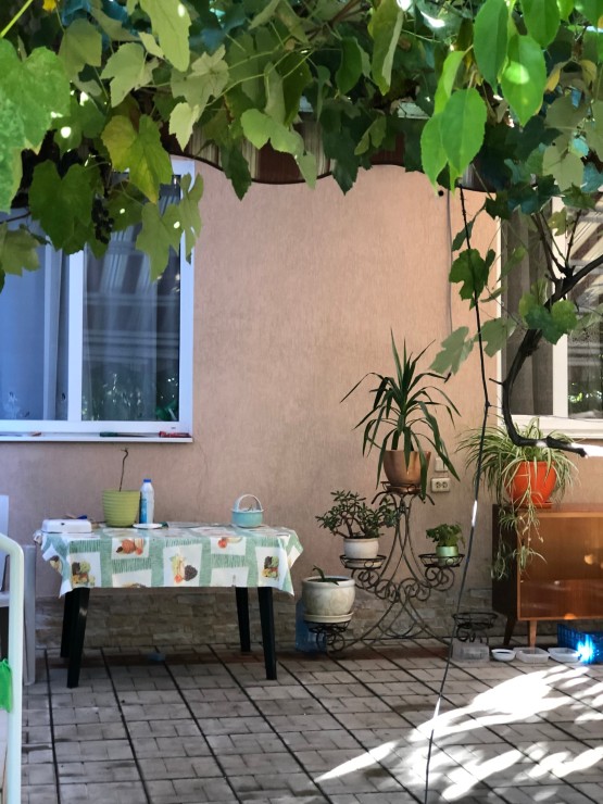 Дом, доповнююче фото, 23615