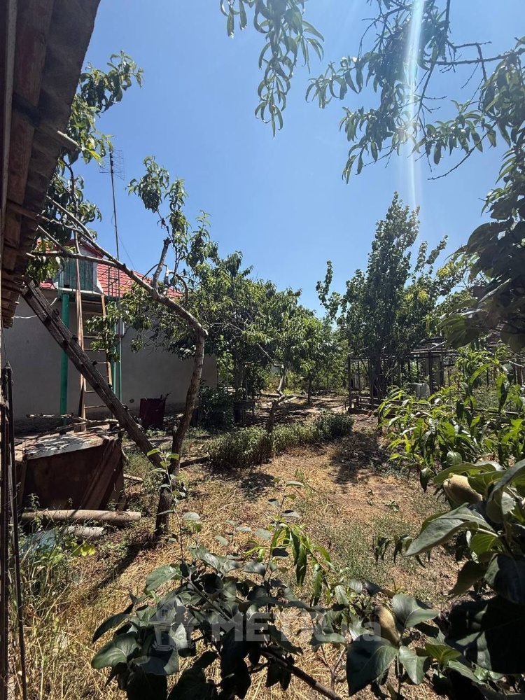 Фото будинку, с. Усатове, пер. Тихий (23998-21)