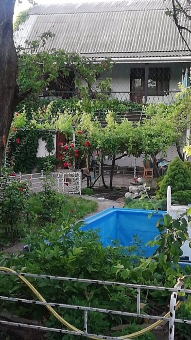 Будинок, доповнююче фото, 4769